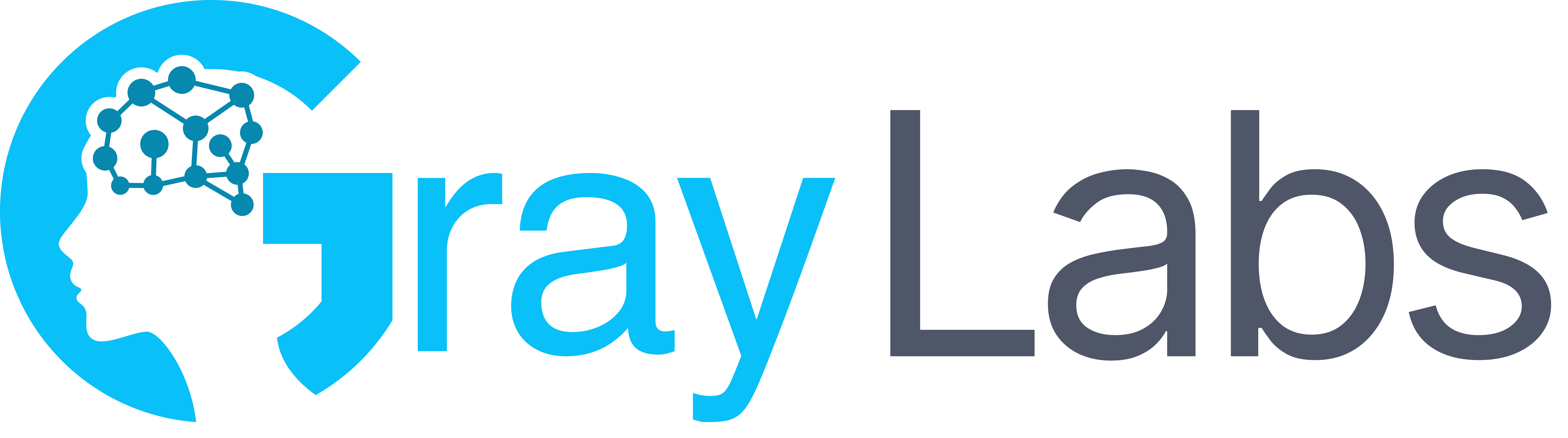 Gray Labs — AI Venture Studio by Gray Matrix